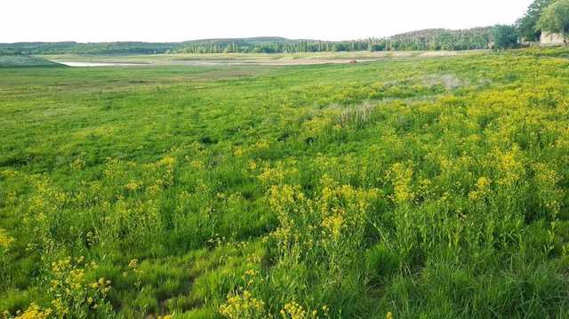 Фото высохшего крупнейшего водохранилища Крыма показали в сети