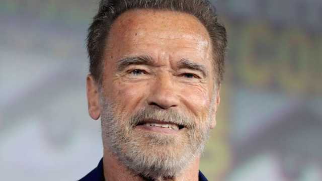 Вандалы «оторвались» на памятнике Шварценеггеру