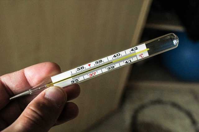 Комаровский пояснил, какая температура является нормой для человека