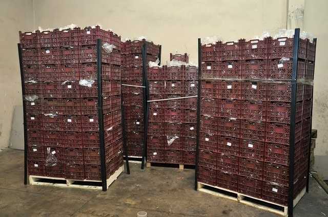 На границе с Ираном в украинском грузовике обнаружено 108 кг героина