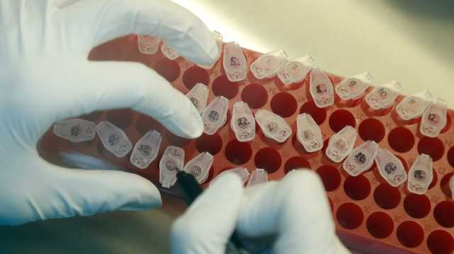 Плюс 758 за сутки: в Украине заразились коронавирусом 33 234 человек