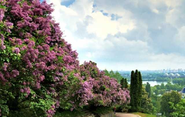 Минкульт попросили разобраться с застройщиками ботсада им. Гришко в Киеве