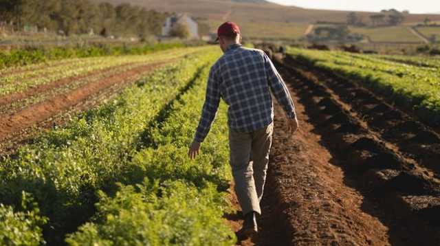 Сьогодні Україна вперше відзначає День фермера