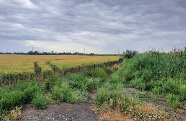 Под Днепром похитили человека средь белого дня