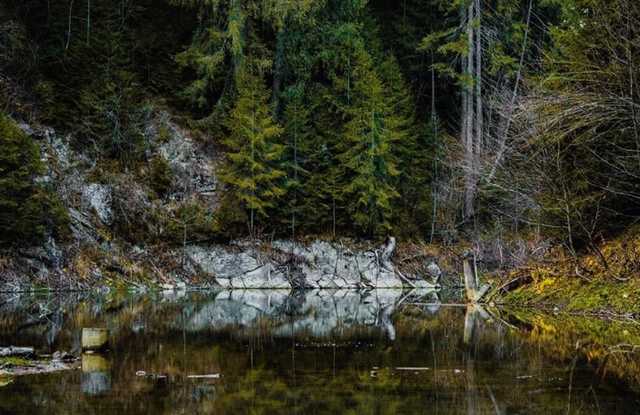 В Карпатах оползни уничтожили популярное озеро