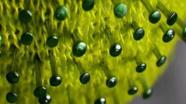 В Беларуси за сутки 380 человек заразились коронавирусом - Минздрав