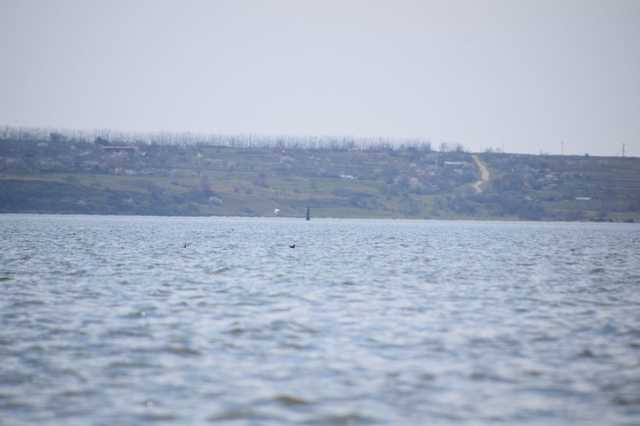 На берегу лимана в Николаеве обнаружено тело утопленника