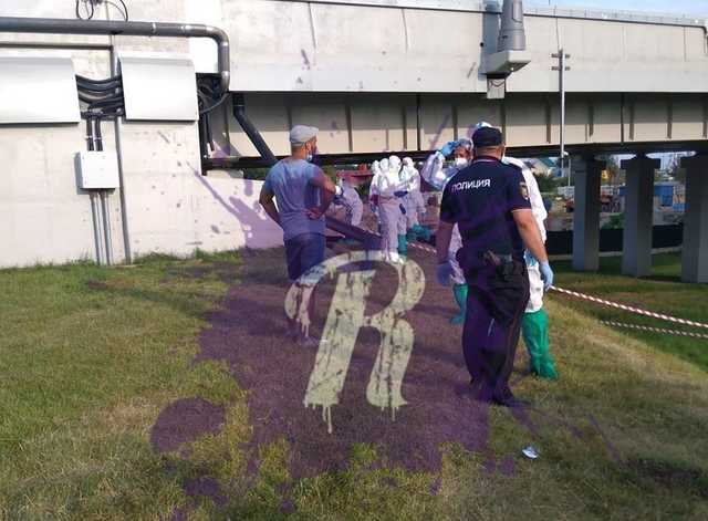 На окраине Москвы нашли мешки с кровью и документами умерших от COVID-19