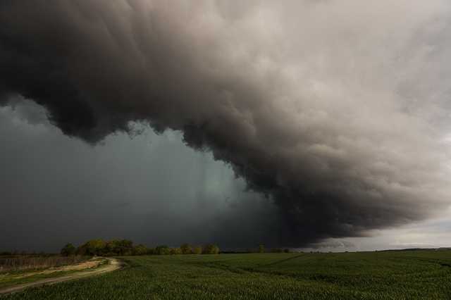 Погода різко погіршиться, падатимуть сильні дощі: в столиці оголосили перший рівень небезпеки