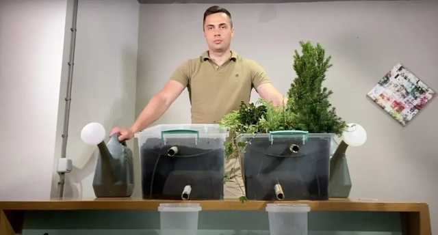 Для недалеких чиновников: Фирсов доказал связь между наводнениями и вырубкой лесов