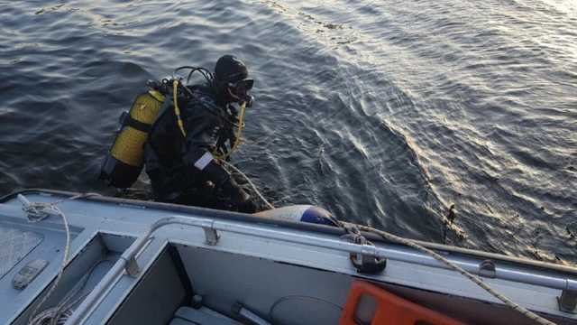 В Киеве в озере утонул мужчина