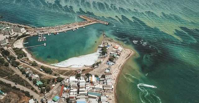 Зеленский похвастался чистым морем в Одессе, но в Минздраве купаться не рекомендуют