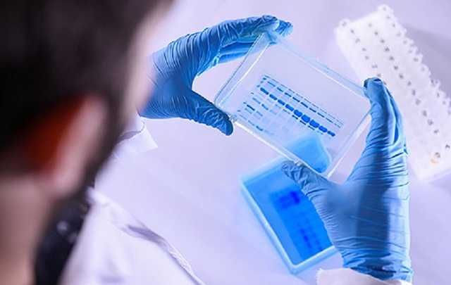 Украинский штамм коронавируса слабее китайского