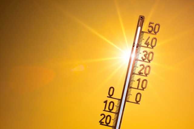 На Херсонщине из-за аномальной жары погибли мужчина и молодая девушка