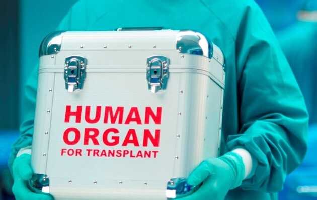 Зеленський хоче запустити програму з трансплантації у найближчі роки