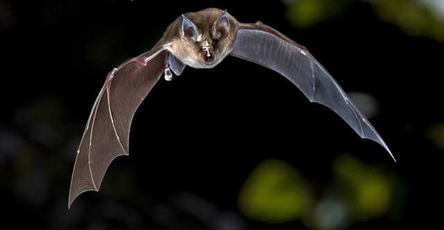 The Times:         2012 