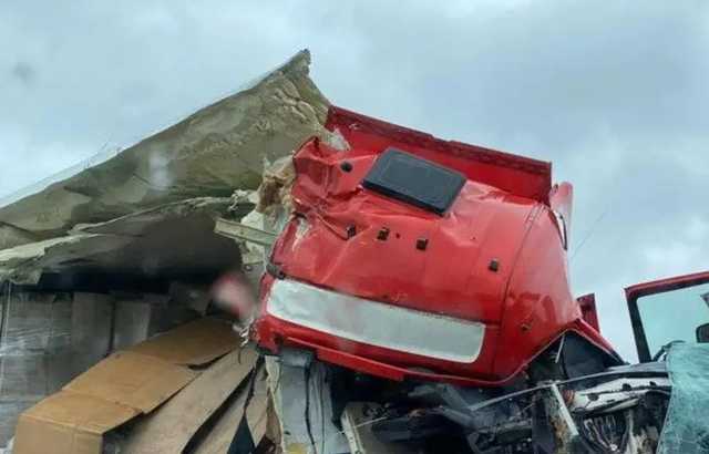 Под Киевом фура попала в страшное ДТП