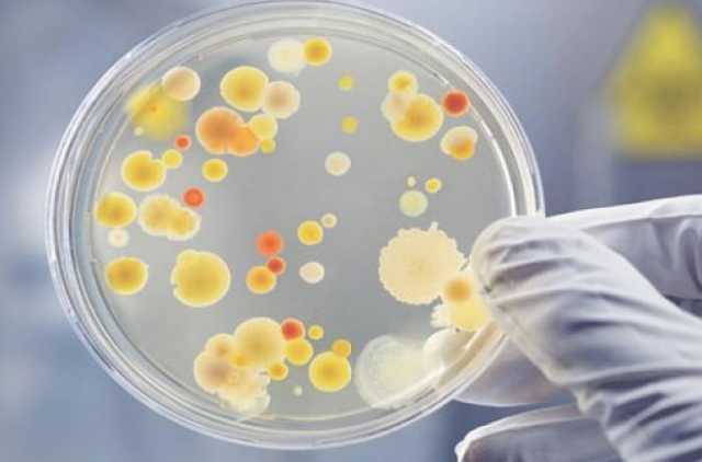 В Украине бушует ботулизм