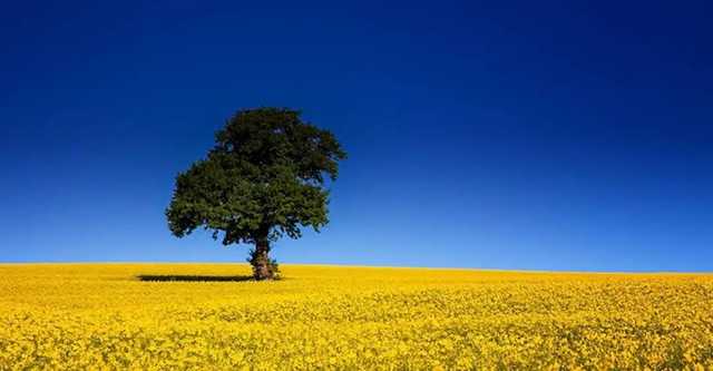 Компромісний, узгоджений і вилизаний суверенітет