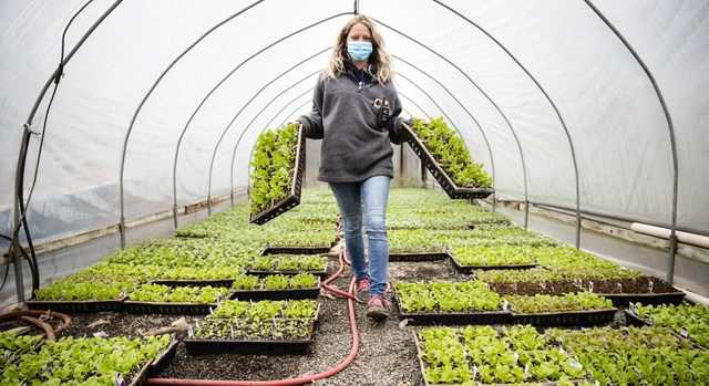 В Польше украинские заробитчане подхватили COVID-19 на ферме