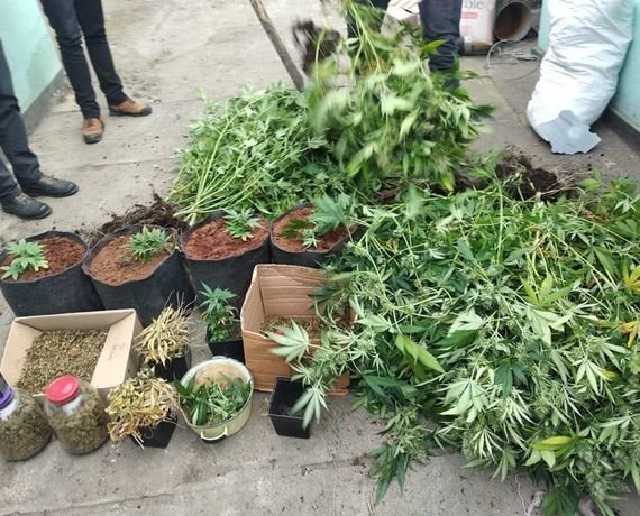 Зеленский предлагает Раде отменить залог для арестованных наркоторговцев