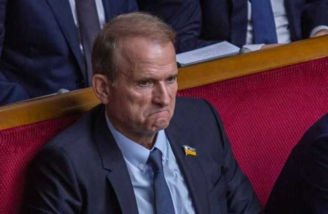 Суд відмовився повернути державі 35 гектарів цінного лісу з маєтком Медведчука