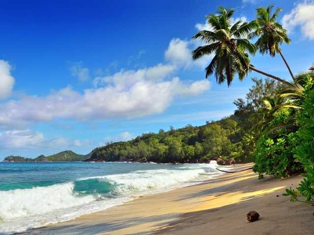 Украинцев оставили без Сейшел