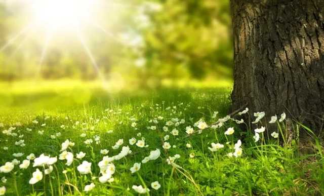 В Украину вернется потепление: синоптик уточнила прогноз погоды