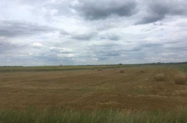 В Украине резко возросло падение в базовых отраслях