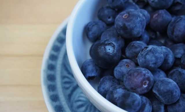 Фермеры хотят выращивать в Украине в три раза больше голубики