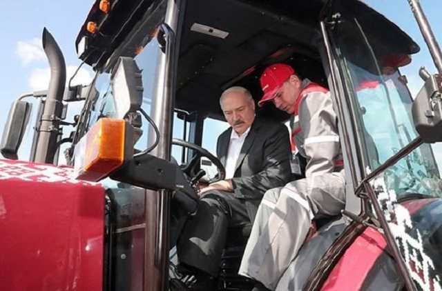 Ни свободы, ни хлеба