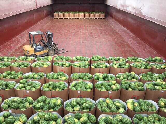 В Киев из Херсона отправилась груженая необычными арбузами баржа