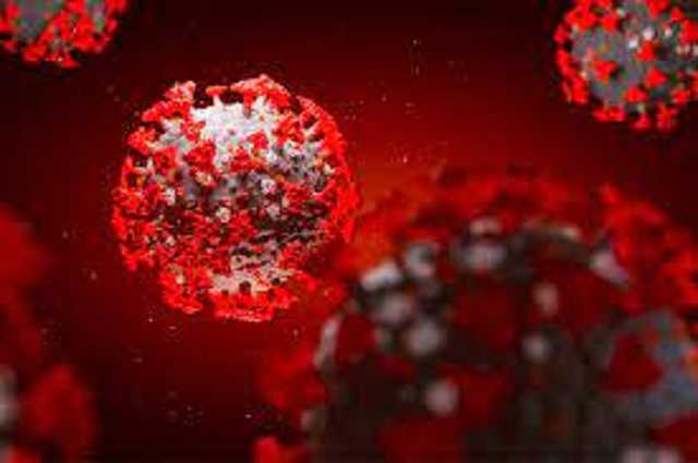 Ученые заявили об аномальном поведении иммунных клеток при COVID-19