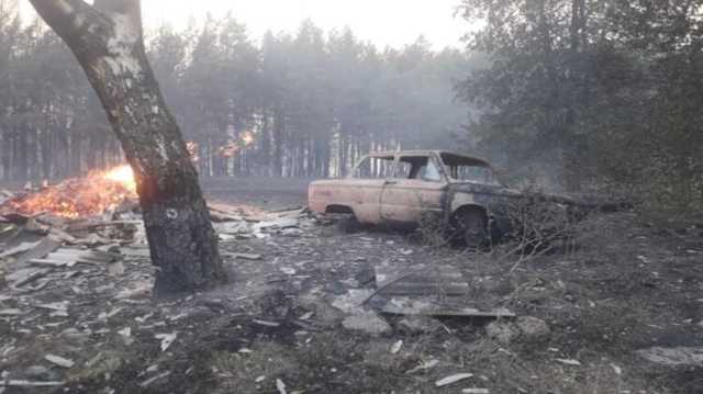 В Харьковской области объявили чрезвычайную ситуацию из-за бушующих лесных пожаров
