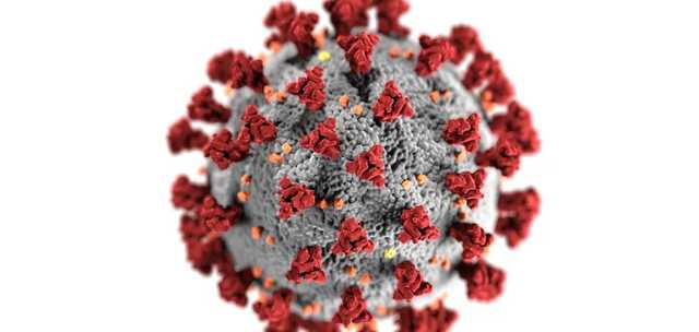 Ученые назвали степень мутации коронавируса