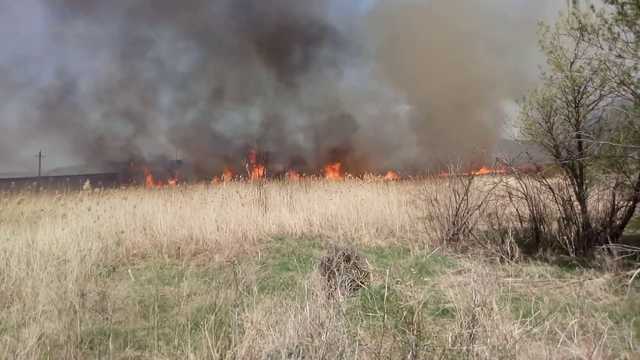 Пожары в экосистемах Луганщины ликвидированы, на Харьковщине - локализованы, - ГСЧС
