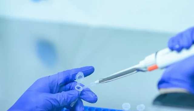 Ученые нашли средство, защищающее от коронавируса