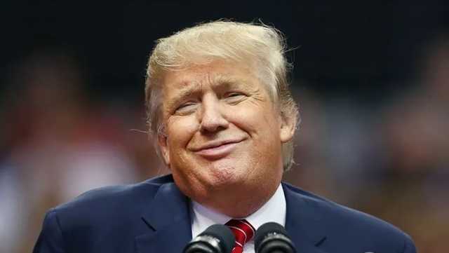 В США создали огромный портрет Трампа из 2020 "железных пенисов"