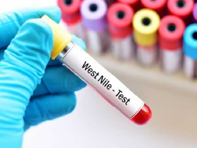 На Полтавщині у чоловіка виявили гарячку Західного Нілу