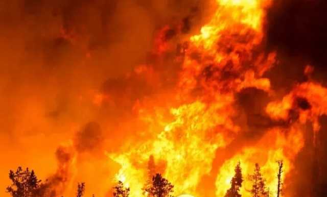 Лесные пожары в Калифорнии вызвали огненный смерч