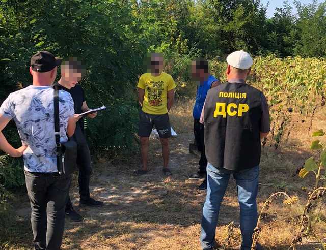 На Запоріжжі правоохоронці знайшли поле з канабісом вартістю 10 мільйонів