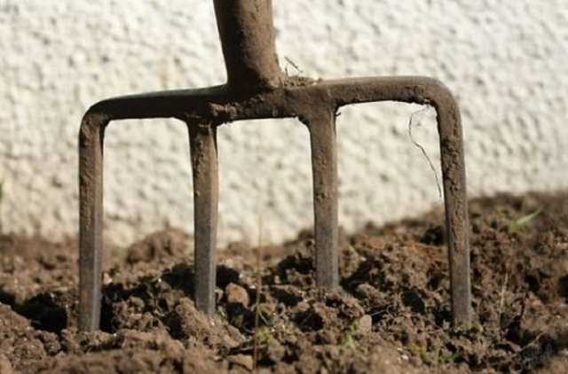 Аграрное рейдерство ОПЗЖ на Днепропетровщине. Кто защитит фермеров?