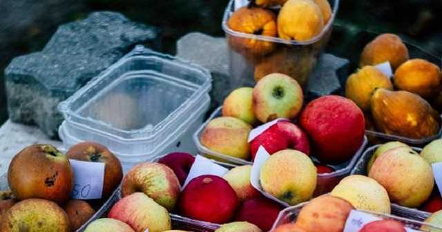 Садоводство в Украине: посадить и заработать