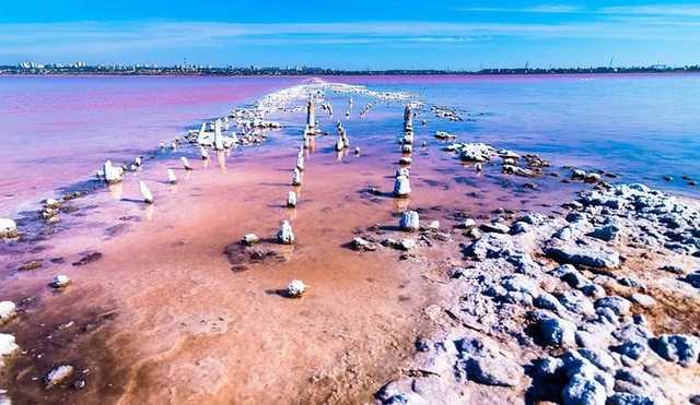 Экологи заявили об угрозе исчезновения "украинского Мертвого моря"