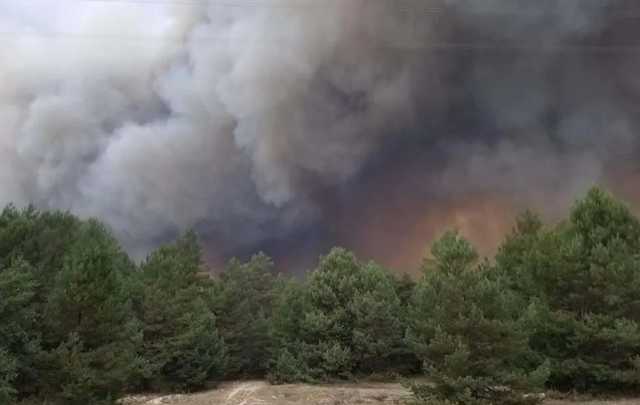 На военном полигоне в Киевской области произошел пожар