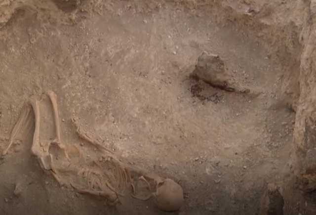 В Луганской области найдены ценности, которым больше 4 тыс. лет