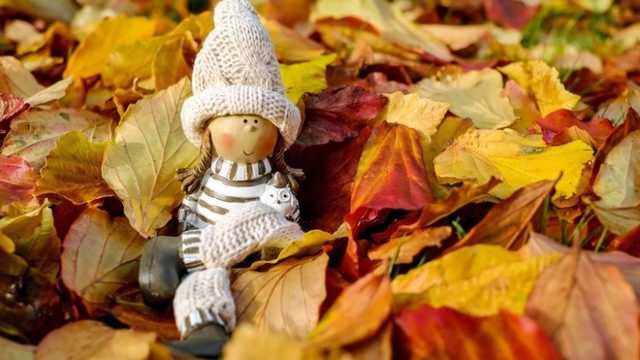 Классическое "бабье лето": синоптик рассказала о погоде в ближайшие дни