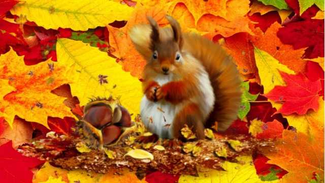 Ночные заморозки маловероятны: синоптики уточнили прогноз погоды на начало недели