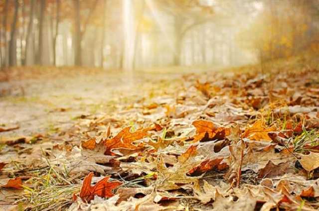 Какой будет погода в день осеннего равноденствия