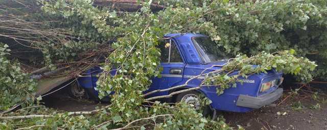В Херсонской области ураган повалил деревья и повредил крыши домов